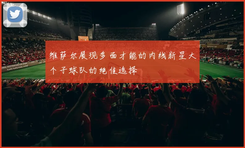维萨尔展现多面才能的内线新星大个子球队的绝佳选择